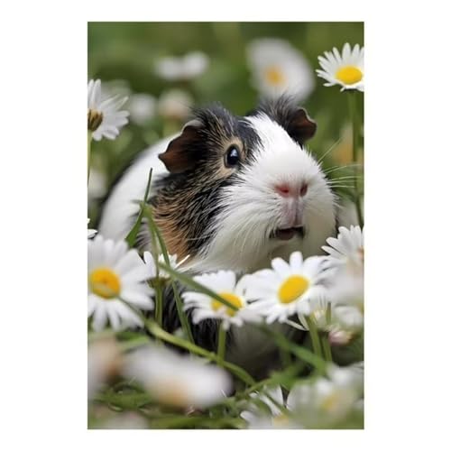 Puzzle 300 Teile,Puzzles für Erwachsene,Herausforderndes Rätsel,Pädagogisches Spiel Puzzlespiele für Die Ganze Familie,Dekoration Geschenke - Daisy-Meerschweinchen Puzzle 300 Teile,Puzzles für Erwachsene,Herausforderndes Rätsel,Pädagogisches Spiel Puzzlespiele für Die Ganze Familie,Dekoration Geschenke - Daisy-Meerschweinchen von Yoonqun