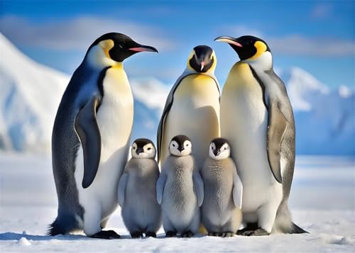 Puzzle 300 Teile,Puzzles für Erwachsene,Herausforderndes Rätsel,Pädagogisches Spiel Puzzlespiele für Die Ganze Familie,Dekoration Geschenke - Tiere der Pinguinfamilie Puzzle 300 Teile,Puzzles für Erwachsene,Herausforderndes Rätsel,Pädagogisches Spiel Puzzlespiele für Die Ganze Familie,Dekoration Geschenke - Tiere der Pinguinfamilie von Yoonqun