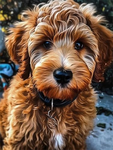 Puzzle 500 Teile,Puzzles Für Erwachsene,Herausforderndes Rätsel,Pädagogisches Spiel Puzzlespiele für Die Ganze Familie,Dekoration Geschenke - Niedlicher Hund Puzzle 500 Teile,Puzzles Für Erwachsene,Herausforderndes Rätsel,Pädagogisches Spiel Puzzlespiele für Die Ganze Familie,Dekoration Geschenke - Niedlicher Hund von Yoonqun