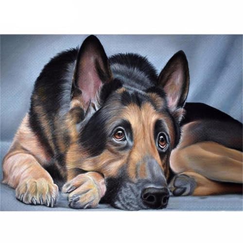 Puzzle 500 Teile,Puzzles für Erwachsene,Herausforderndes Rätsel,Pädagogisches Spiel Puzzlespiele für Die Ganze Familie,Dekoration Geschenke - Husky-Hund Puzzle 500 Teile,Puzzles für Erwachsene,Herausforderndes Rätsel,Pädagogisches Spiel Puzzlespiele für Die Ganze Familie,Dekoration Geschenke - Husky-Hund von Yoonqun