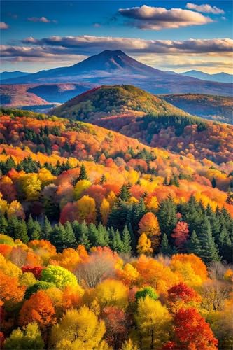 Puzzle 500 Teile,Puzzles für Erwachsene,Herausforderndes Rätsel,Pädagogisches Spiel Puzzlespiele für Die Ganze Familie,Dekoration Geschenke - Waldlandschaft Puzzle 500 Teile,Puzzles für Erwachsene,Herausforderndes Rätsel,Pädagogisches Spiel Puzzlespiele für Die Ganze Familie,Dekoration Geschenke - Waldlandschaft von Yoonqun