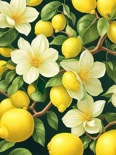 Puzzle 500 Teile,Puzzles für Erwachsene,Herausforderndes Rätsel,Pädagogisches Spiel Puzzlespiele für Die Ganze Familie,Dekoration Geschenke - Zitronenblüte Puzzle 500 Teile,Puzzles für Erwachsene,Herausforderndes Rätsel,Pädagogisches Spiel Puzzlespiele für Die Ganze Familie,Dekoration Geschenke - Zitronenblüte von Yoonqun
