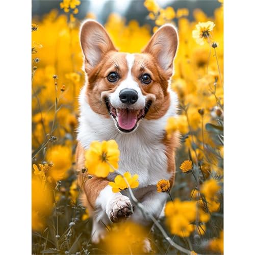 Puzzles 1000 Teile, Corgi Puzzle für Erwachsene,75x50cm Puzzle Lernspiel Herausforderung Spielzeug 1000 Teile Puzzles für Erwachsene Kinder von Yoonqun