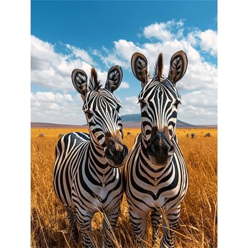 Puzzles 1000 Teile, Präriezebra Puzzle für Erwachsene,78x53cm Puzzle Lernspiel Herausforderung Spielzeug 1000 Teile Puzzles für Erwachsene Kinder Puzzles 1000 Teile, Präriezebra Puzzle für Erwachsene,78x53cm Puzzle Lernspiel Herausforderung Spielzeug 1000 Teile Puzzles für Erwachsene Kinder von Yoonqun
