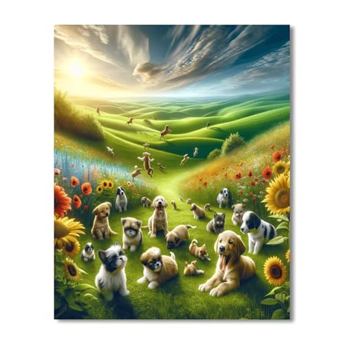 Puzzles 1000 Teile, Puzzle Für Erwachsene,75x50 cm Puzzle Lernspiel Herausforderung Spielzeug 1000 Sonnenschein-Feldhunde Puzzles für Erwachsene Puzzles 1000 Teile, Puzzle Für Erwachsene,75x50 cm Puzzle Lernspiel Herausforderung Spielzeug 1000 Sonnenschein-Feldhunde Puzzles für Erwachsene von Yoonqun