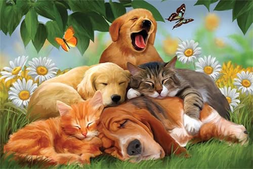 Puzzles 1000 Teile, Schlafende Katzenhunde Puzzle für Erwachsene,78x53cm Puzzle Lernspiel Herausforderung Spielzeug 1000 Teile Puzzles für Erwachsene Kinder Puzzles 1000 Teile, Schlafende Katzenhunde Puzzle für Erwachsene,78x53cm Puzzle Lernspiel Herausforderung Spielzeug 1000 Teile Puzzles für Erwachsene Kinder von Yoonqun