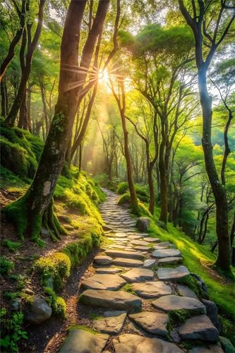 Puzzles 1000 Teile, Woods Sunshine Road Puzzle für Erwachsene,75x50cm Puzzle Lernspiel Herausforderung Spielzeug 1000 Teile Puzzles für Erwachsene Kinder von Yoonqun