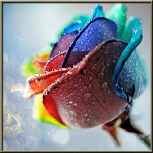 Puzzles 120 Teile, Puzzle Für Erwachsene, 20x20 cm Puzzle Lernspiel Herausforderung Spielzeug 120 Teile Bunte Blumen Puzzles für Erwachsene Puzzles 120 Teile, Puzzle Für Erwachsene, 20x20 cm Puzzle Lernspiel Herausforderung Spielzeug 120 Teile Bunte Blumen Puzzles für Erwachsene von Yoonqun