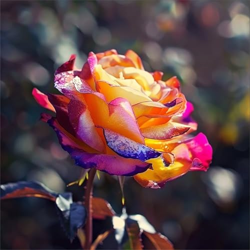 Puzzles 120 Teile, Puzzle Für Erwachsene, 20x20 cm Puzzle Lernspiel Herausforderung Spielzeug 120 Teile Rosen Blumen Puzzles für Erwachsene von Yoonqun