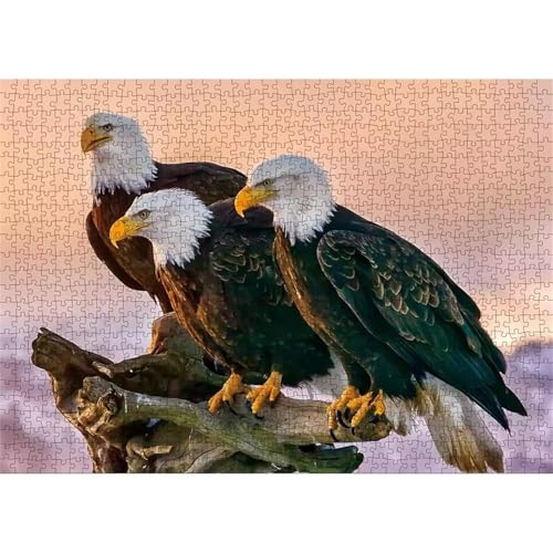 Puzzles 1200 Teile, Adler Tier Puzzle für Erwachsene,78x53cm Puzzle Lernspiel Herausforderung Spielzeug 1200 Teile Puzzles für Erwachsene Kinder Puzzles 1200 Teile, Adler Tier Puzzle für Erwachsene,78x53cm Puzzle Lernspiel Herausforderung Spielzeug 1200 Teile Puzzles für Erwachsene Kinder von Yoonqun