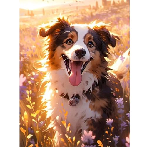 Puzzles 1200 Teile, Hund Tier Puzzle für Erwachsene,78x53cm Puzzle Lernspiel Herausforderung Spielzeug 1200 Teile Puzzles für Erwachsene Kinder Puzzles 1200 Teile, Hund Tier Puzzle für Erwachsene,78x53cm Puzzle Lernspiel Herausforderung Spielzeug 1200 Teile Puzzles für Erwachsene Kinder von Yoonqun
