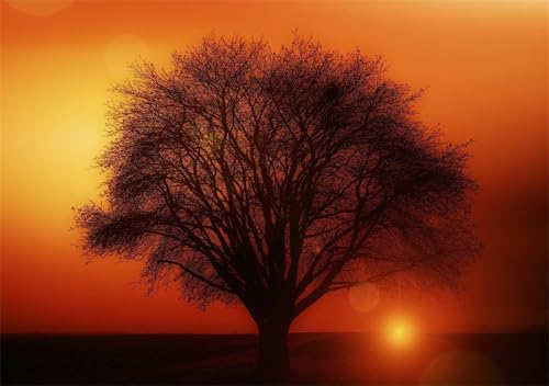Puzzles 1200 Teile, Sonnenuntergangsbaum Puzzle für Erwachsene,78x53cm Puzzle Lernspiel Herausforderung Spielzeug 1200 Teile Puzzles für Erwachsene Kinder von Yoonqun