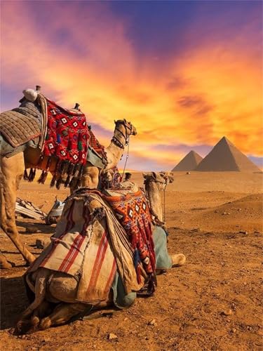 Puzzles 1314 Teile, Puzzle Für Erwachsene,75x50 cm Puzzle Lernspiel Herausforderung Spielzeug 1314 Wüstenkamelpyramide Puzzles für Erwachsene von Yoonqun