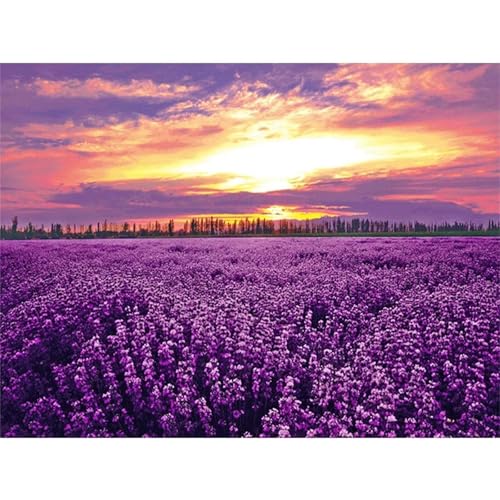 Puzzles 1500 Teile, Sonnenuntergang Lavendelfeld Puzzle für Erwachsene,87x57cm Puzzle Lernspiel Herausforderung Spielzeug 1500 Teile Puzzles für Erwachsene Kinder von Yoonqun