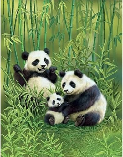 Puzzles 200 Teile, Bambuspanda Puzzle für Erwachsene,38x28cm Puzzle Lernspiel Herausforderung Spielzeug 200 Teile Puzzles für Erwachsene Kinder von Yoonqun