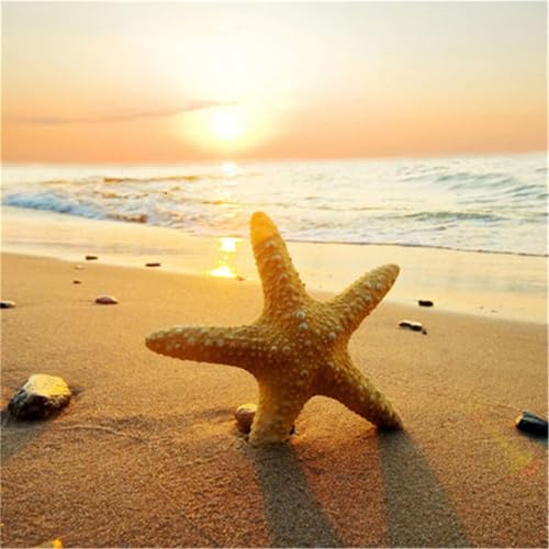 Puzzles 200 Teile, Puzzle Für Erwachsene, 28x28 cm Puzzle Lernspiel Herausforderung Spielzeug 200 Teile Seestern-Sonnenuntergang Puzzles für Erwachsene Puzzles 200 Teile, Puzzle Für Erwachsene, 28x28 cm Puzzle Lernspiel Herausforderung Spielzeug 200 Teile Seestern-Sonnenuntergang Puzzles für Erwachsene von Yoonqun