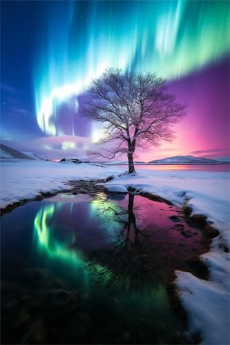 Puzzles 300 Teile, Aurora-Baum Puzzle für Erwachsene,43x31cm Puzzle Lernspiel Herausforderung Spielzeug 300 Teile Puzzles für Erwachsene Kinder von Yoonqun