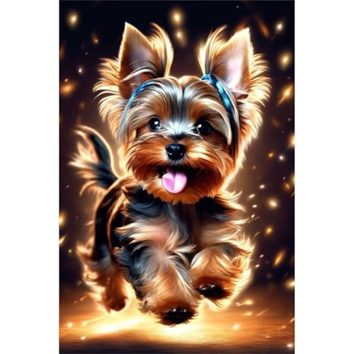 Puzzles 300 Teile, Yorkshire Terrier Puzzle für Erwachsene,43x31cm Puzzle Lernspiel Herausforderung Spielzeug 300 Teile Puzzles für Erwachsene Kinder von Yoonqun