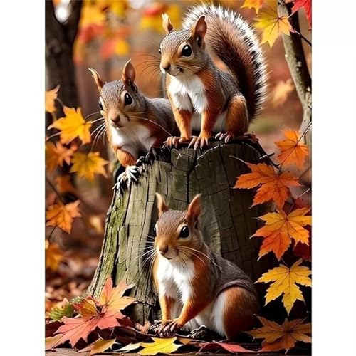 Puzzles 500 Teile, Eichhörnchen Herbst Puzzle für Erwachsene,55x42cm Puzzle Lernspiel Herausforderung Spielzeug 500 Teile Puzzles für Erwachsene Kinder Puzzles 500 Teile, Eichhörnchen Herbst Puzzle für Erwachsene,55x42cm Puzzle Lernspiel Herausforderung Spielzeug 500 Teile Puzzles für Erwachsene Kinder von Yoonqun
