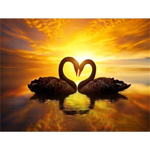 Puzzles 500 Teile, Liebe, schwarzer Schwan Puzzle für Erwachsene,52x38cm Puzzle Lernspiel Herausforderung Spielzeug 500 Teile Puzzles für Erwachsene Kinder von Yoonqun