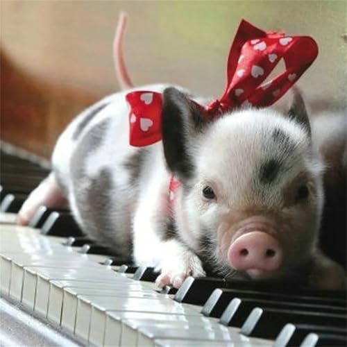 Puzzles 500 Teile, Puzzle Für Erwachsene, 45x45 cm Puzzle Lernspiel Herausforderung Spielzeug 500 Teile Klavierschwein Puzzles für Erwachsene von Yoonqun