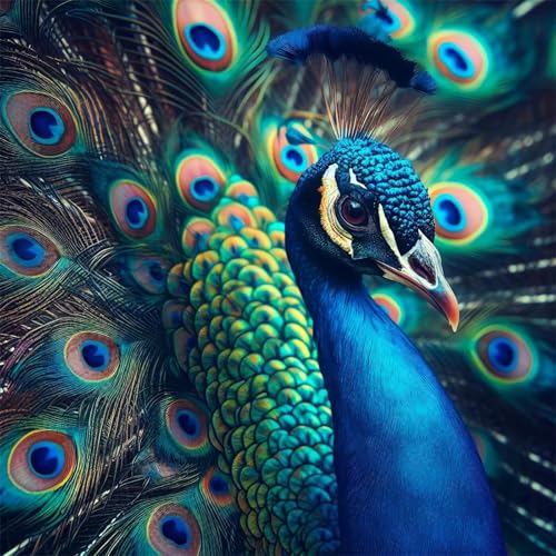 Puzzles 500 Teile, Puzzle Für Erwachsene, 45x45 cm Puzzle Lernspiel Herausforderung Spielzeug 500 Teile Pfauenvögel Puzzles für Erwachsene Puzzles 500 Teile, Puzzle Für Erwachsene, 45x45 cm Puzzle Lernspiel Herausforderung Spielzeug 500 Teile Pfauenvögel Puzzles für Erwachsene von Yoonqun