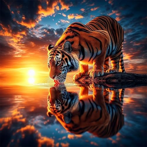 Puzzles 500 Teile, Puzzle Für Erwachsene, 45x45 cm Puzzle Lernspiel Herausforderung Spielzeug 500 Teile Sonnenuntergang am Meer Tiger Puzzles für Erwachsene von Yoonqun