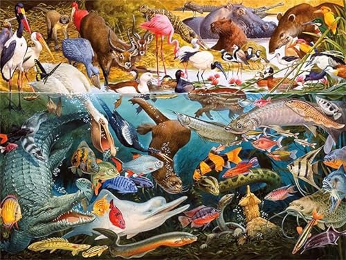 Puzzles 500 Teile, Puzzle Für Erwachsene,52x38 cm Puzzle Lernspiel Herausforderung Spielzeug 500 Meerestiere Puzzles für Erwachsene Puzzles 500 Teile, Puzzle Für Erwachsene,52x38 cm Puzzle Lernspiel Herausforderung Spielzeug 500 Meerestiere Puzzles für Erwachsene von Yoonqun