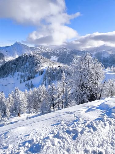 Puzzles 700 Teile, Verschneite Landschaft Puzzle für Erwachsene,55x42cm Puzzle Lernspiel Herausforderung Spielzeug 700 Teile Puzzles für Erwachsene Kinder von Yoonqun
