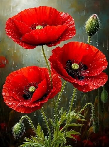 Puzzles 90 Teile, Puzzle Für Erwachsene,25x20 cm Puzzle Lernspiel Herausforderung Spielzeug 90 Roter Mohn an einem regnerischen Tag Puzzles für Erwachsene Puzzles 90 Teile, Puzzle Für Erwachsene,25x20 cm Puzzle Lernspiel Herausforderung Spielzeug 90 Roter Mohn an einem regnerischen Tag Puzzles für Erwachsene von Yoonqun