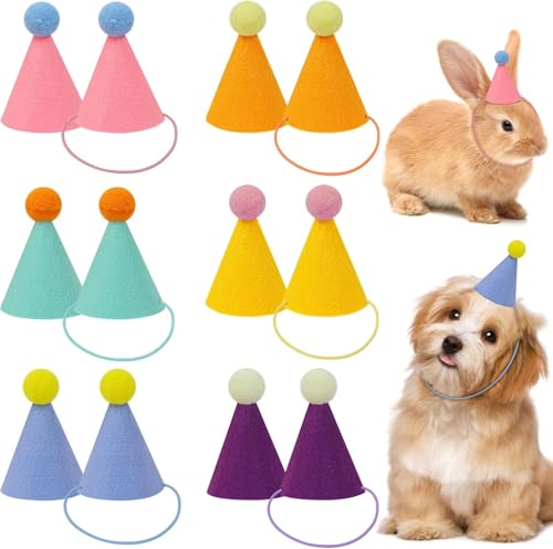 Yootiko 12 Mini Partyhüte in sanften Farben, Geburtstagsmützen für Hunde, Katzen, Kaninchen und Stofftiere, Niedliche Tierparty Dekoration, Pastellfarbenset Yootiko 12 Mini Partyhüte in sanften Farben, Geburtstagsmützen für Hunde, Katzen, Kaninchen und Stofftiere, Niedliche Tierparty Dekoration, Pastellfarbenset von Yootiko