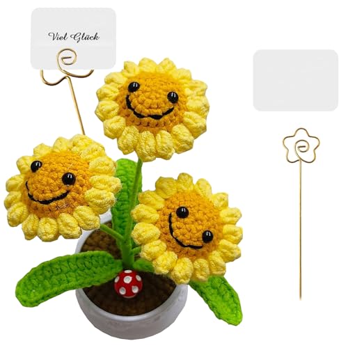 YouYuer Pocket Hug Sonnenblume,Glückssonnenblume Positive Geschenke,Emotionale Unterstützung Sonnenblume,Glücksbringer Mutmacher Geschenk Gute Besserung Geschenk Einschulung Geschenk (B) von YouYuer