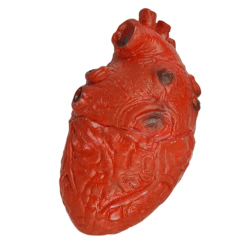 Falsches Herz - Blood Heart Requisite | Spukhausdekorationen | Simulierte Menschliche Herzen, Gruselige Körperteile Requisiten Für Spukhaus, Partydekoration, Halloweens, Zuhause von Youding