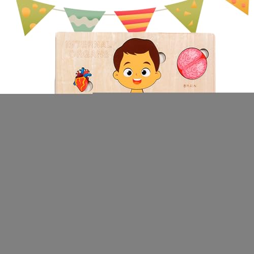Youding Körperteile Für Kinder,Pädagogisches Lernspielzeug Aus Holz Für Körperteile - Frühpädagogisches Lernspielzeug Für Kinder Und Jugendliche Mädchen von Youding