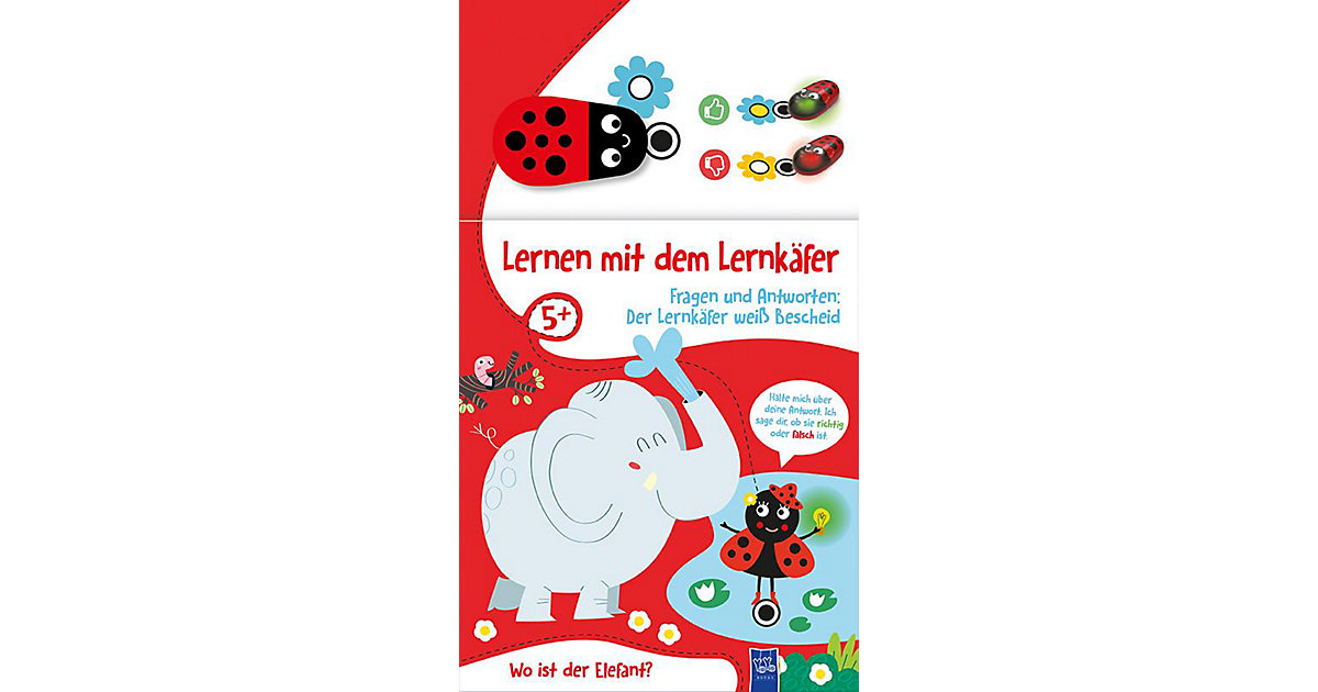 Buch - Lernen mit dem Lernkäfer - Elefant (5 u ) von Yoyo Books