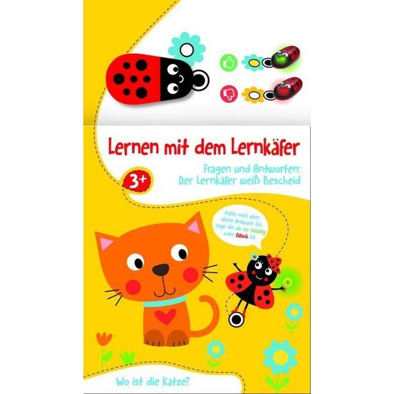 Lernen mit dem Lernkäfer - Katze, m. Spielfigur von Yoyo Books