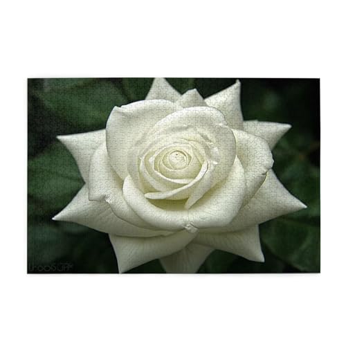 Puzzle 300 Teile, Puzzle Erwachsene, Holzpuzzle Blume Impossible Jigsaw, Clevere Rätsel, HD Farbe Jigsaw mit Geschenkbox Verpackung for Aesthetic Room Decor, Geschenke für Frauen Rose 40x28cm p-1934 von Yuammgxi