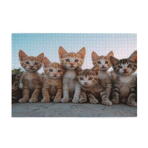 Puzzle 300 Teile, Puzzle Erwachsene, Holzpuzzle Katze Impossible Jigsaw, Clevere Rätsel, HD Farbe Jigsaw mit Geschenkbox Verpackung for Aesthetic Room Decor, Geschenke für Frauen Tier 40x28cm p-83 von Yuammgxi