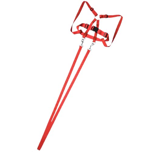 Yuemeuy Pferdeführleine Für Kinder, Geschirr Leine Für Kinder, Robustes Reitzubehör Outdoor Aktivität Rollenspiel mit Freunden Yuemeuy Pferdeführleine Für Kinder, Geschirr Leine Für Kinder, Robustes Reitzubehör Outdoor Aktivität Rollenspiel mit Freunden von Yuemeuy