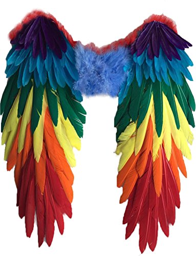 Yummy Bee - Echte Federn Vogelflügel Mehrfarbig Groß CSD Papagai Karneval Fasching Kostüm Erwachsene Größe 48cm x 50cm Yummy Bee - Echte Federn Vogelflügel Mehrfarbig Groß CSD Papagai Karneval Fasching Kostüm Erwachsene Größe 48cm x 50cm von Yummy Bee