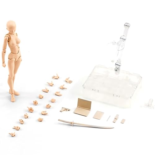 Yumneo Body Kun Actionfiguren | Body Kun DX Set | Bewegliche Gelenke Flexible Zeichenfiguren Modell | PVC Body Kun und Body Set zum Skizzieren, Malen, Zeichnen, Künstler Yumneo Body Kun Actionfiguren | Body Kun DX Set | Bewegliche Gelenke Flexible Zeichenfiguren Modell | PVC Body Kun und Body Set zum Skizzieren, Malen, Zeichnen, Künstler von Yumneo