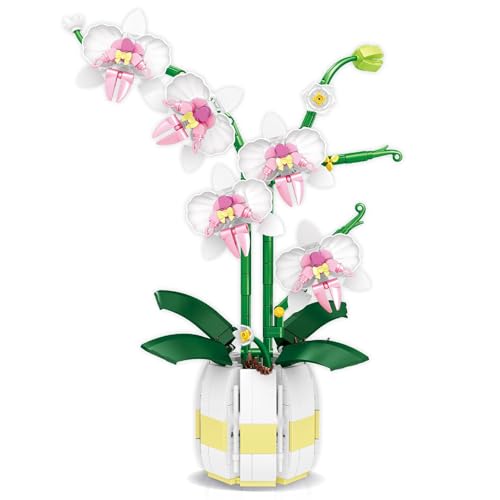 Yunigzmy Blumenstrauß Set, Orchideen Mini Bausteinblume, Phalaenopsis-Baustein-Set, Heimdekor-Bausatz (616 Teile) (Weiß) von Yunigzmy