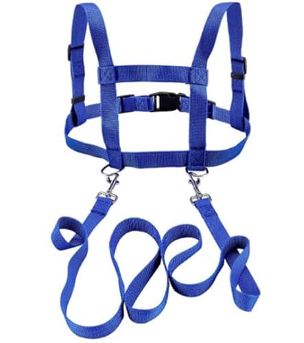 2 Stück Pferdeleine zum Spielen für Kinder,Blau Pferdeleine Kinder,Größenverstellbare Pferdegeschirr,Pferde Longierleine Pferdegeschirr für Jungen und Mädchen Skifahren Rollenspiel Spielen von Yunlaishaocer