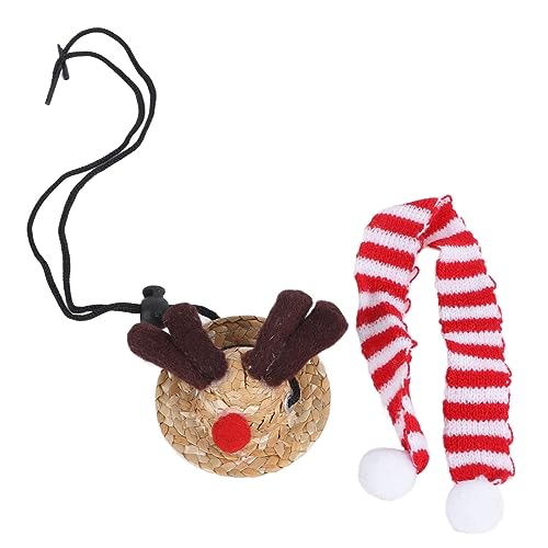 Yusat Bartdrachen-Weihnachtsmannmütze, süßer, weicher Schal, verstellbare Größe, leuchtende Farben, Eidechse, Weihnachtsmannmütze mit Schal, Größe S von Yusat