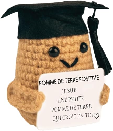 Lustiges Geschenk für Frauen & Männer – Positives Plüschtier, perfekt für Geburtstag, Weihnachten, Wichteln & Deko zu Hause oder im Büro (Positives französische Kartoffel mit Hut) von YverLand