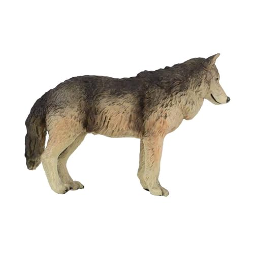Ywmsfl Realistische Wolf Figur Spielzeugbildungsmodell Simulation Für Kinder Und Sammler In Cyan Oder Grauem Kunststoff Ywmsfl Realistische Wolf Figur Spielzeugbildungsmodell Simulation Für Kinder Und Sammler In Cyan Oder Grauem Kunststoff von Ywmsfl