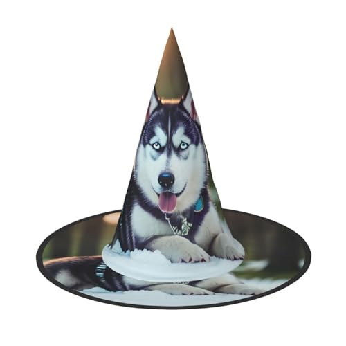Yyoretp Husky Hund Druck Halloween Kostüm Hexenhut Erwachsene Karneval Cosplay Party Kostüm Zubehör Yyoretp Husky Hund Druck Halloween Kostüm Hexenhut Erwachsene Karneval Cosplay Party Kostüm Zubehör von Yyoretp