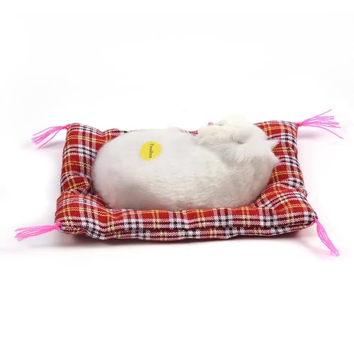 ZAICOLER Schlafkatze auf Pad Puppenspielzeug, 4Types Schlafende Kid Simulation Katze Simulation Schöne Katzensimulation Schlafkatze Plüsch (Alle weißen Nickerchenkatze) von ZAICOLER