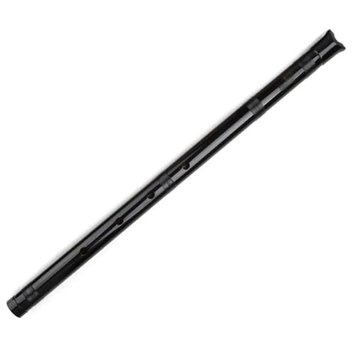Bambusflöteninstrument Bambusflöte Holzblasinstrument für Anfänger(Black) von ZALHIN
