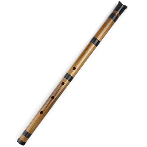 Bambusflöteninstrument Bambusflöte Holzblasinstrument für Anfänger(Brown) von ZALHIN